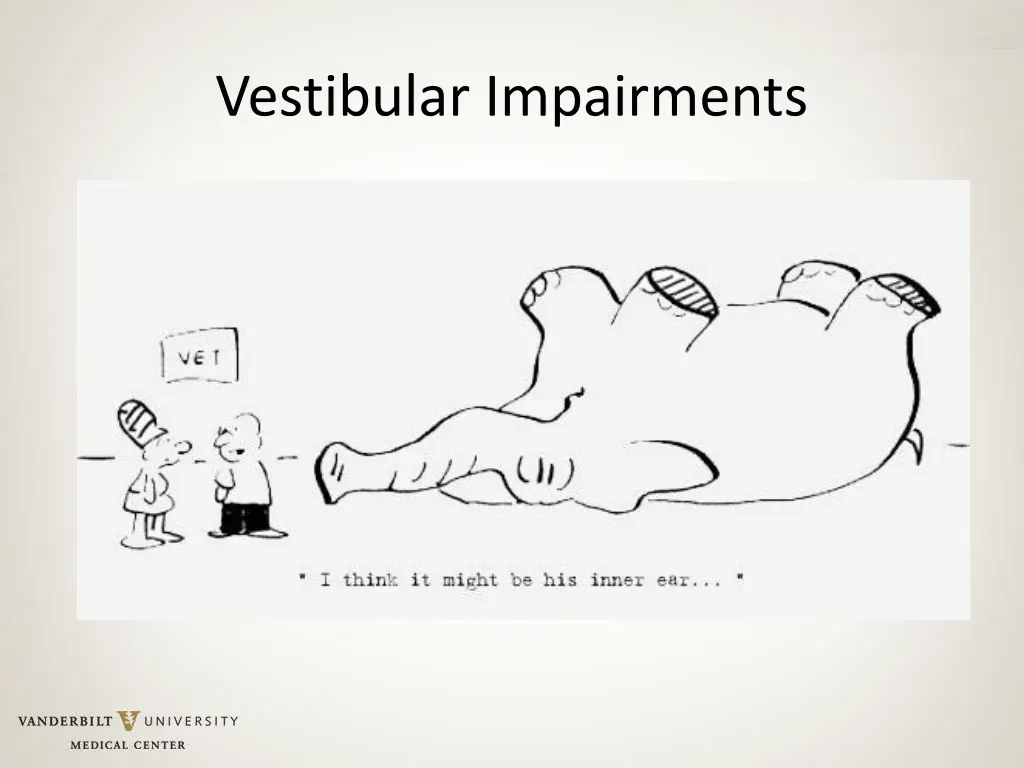 vestibular impairments