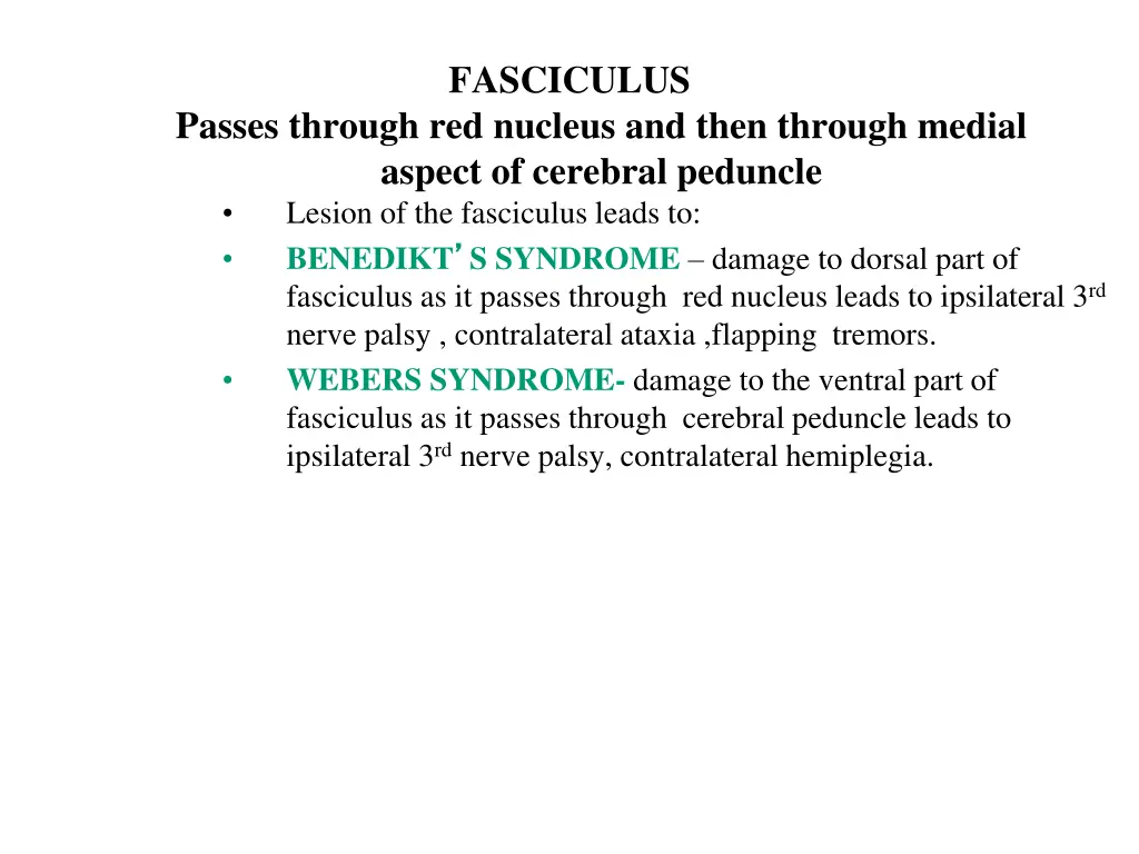 fasciculus