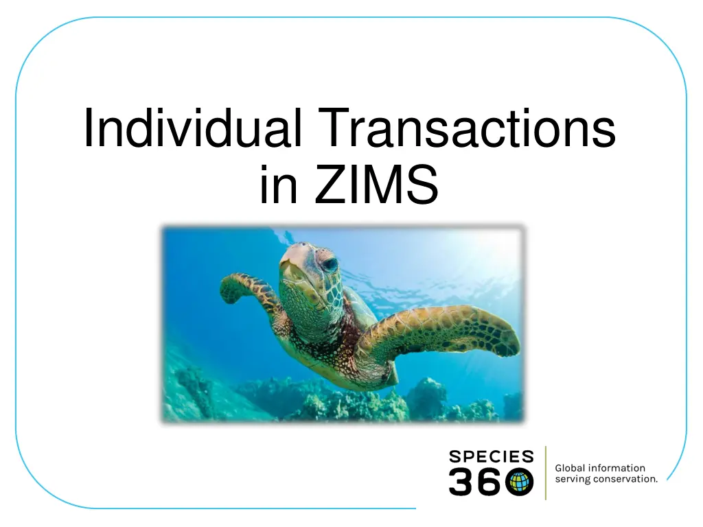 individual transactions in zims