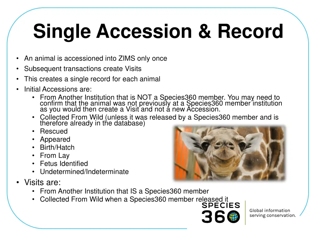 single accession record