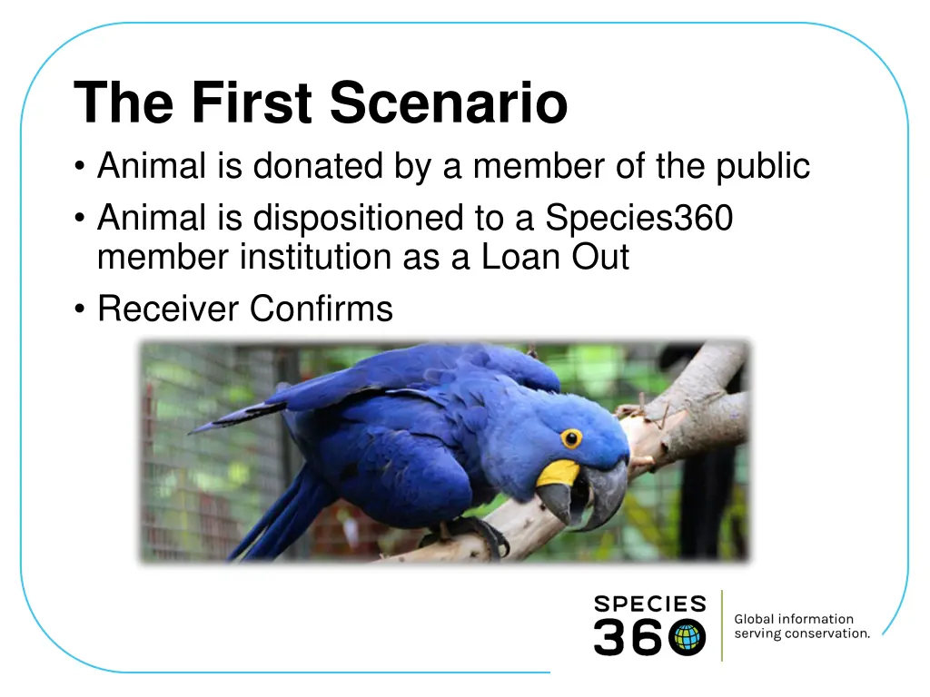 the first scenario animal is donated by a member