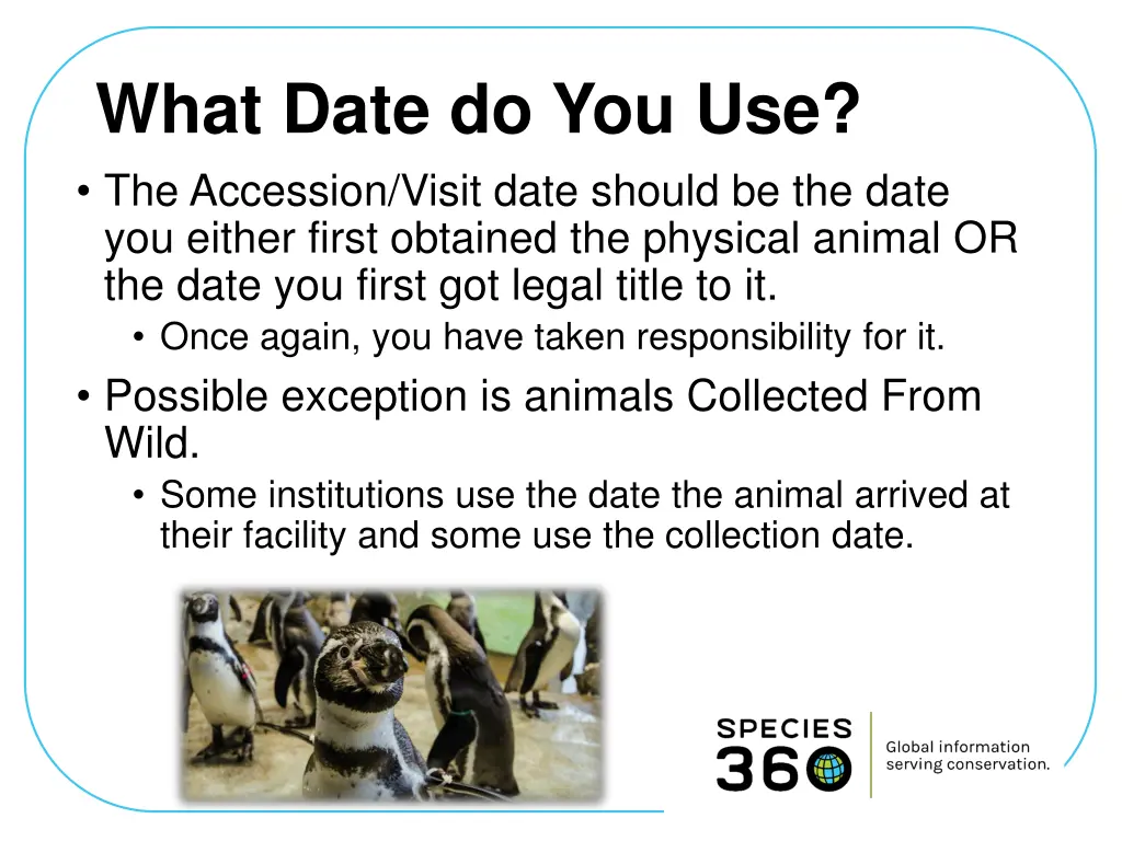 what date do you use the accession visit date