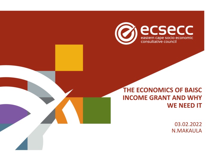 the economics of baisc income grant and why