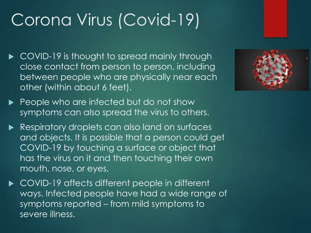 corona virus covid 19