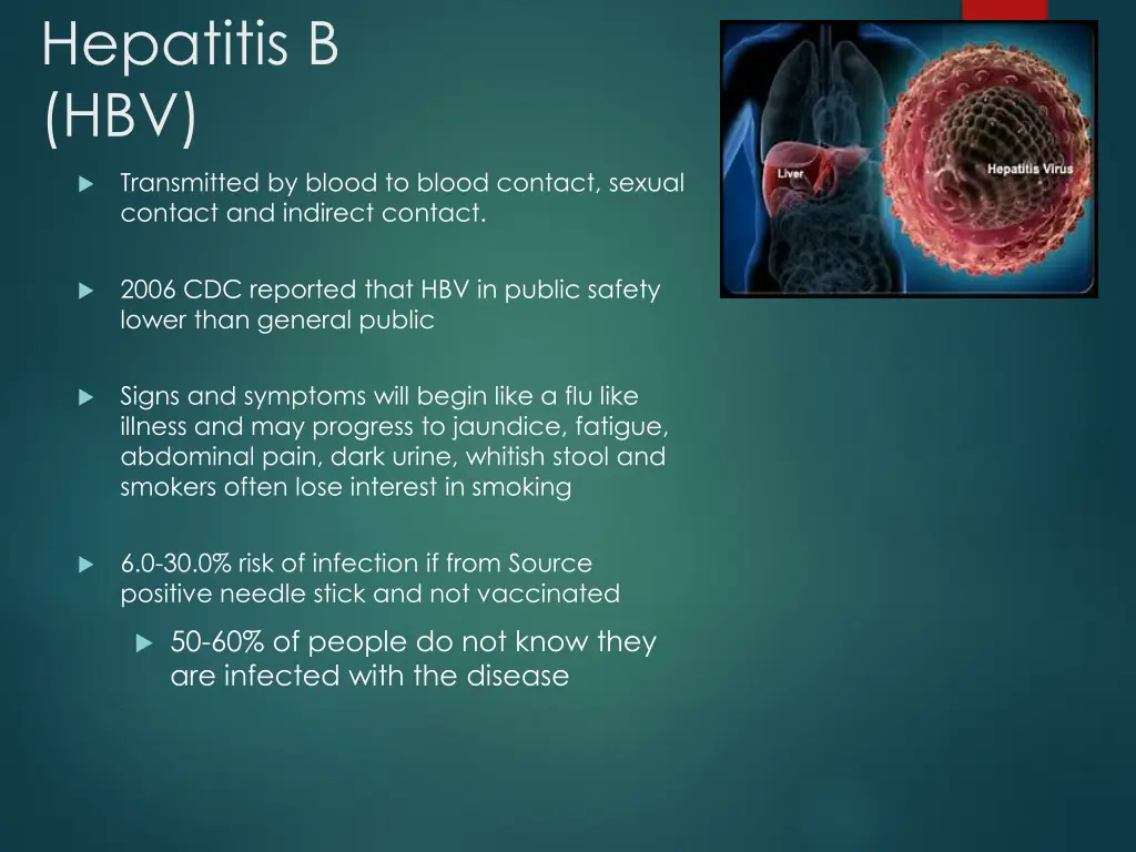 hepatitis b hbv