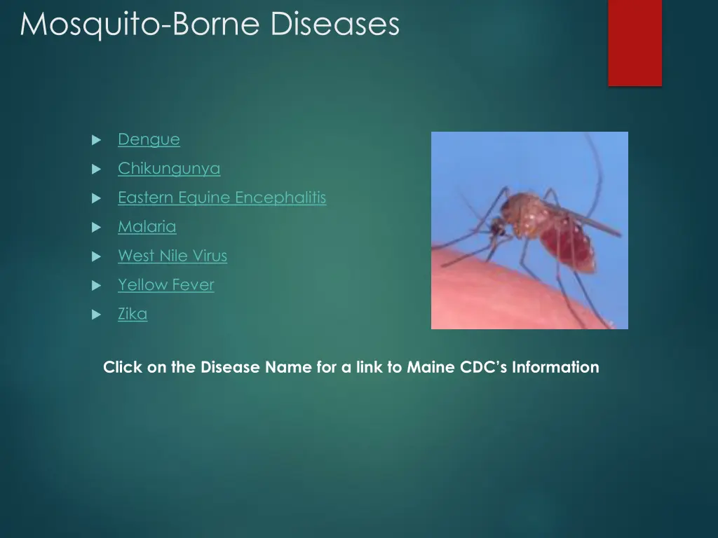 mosquito borne diseases