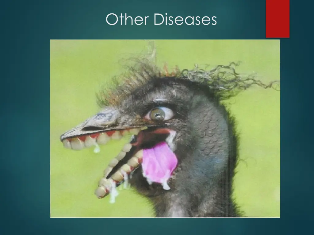 other diseases