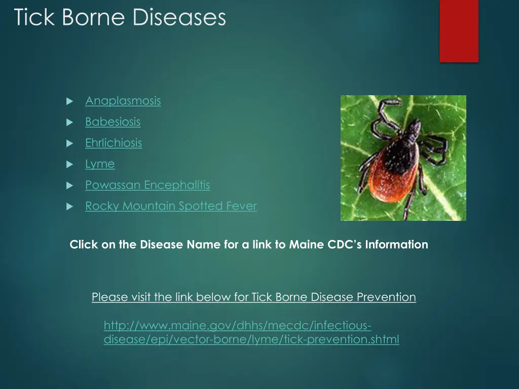 tick borne diseases