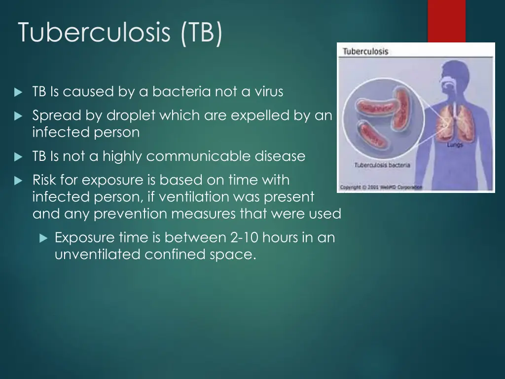 tuberculosis tb