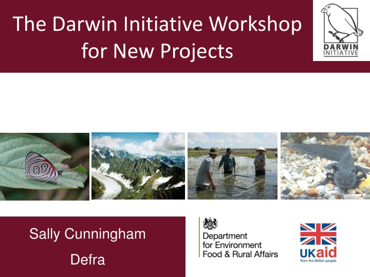 the darwin initiative workshop for new projects