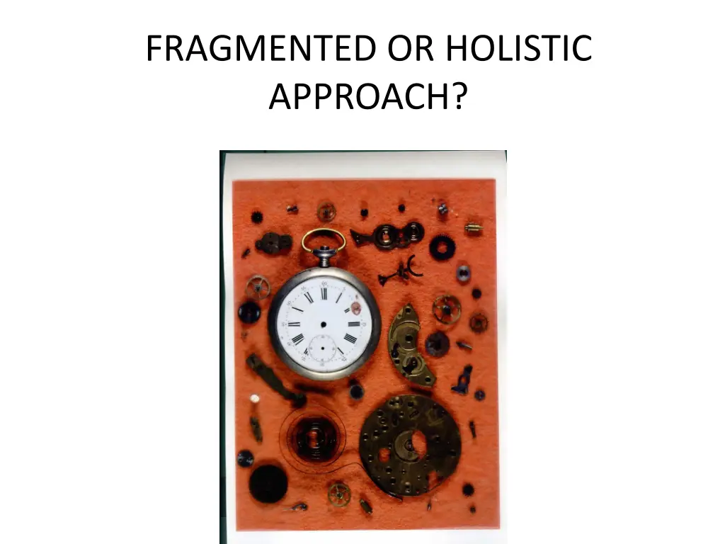 fragmented or holistic approach