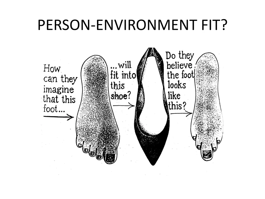 person environment fit