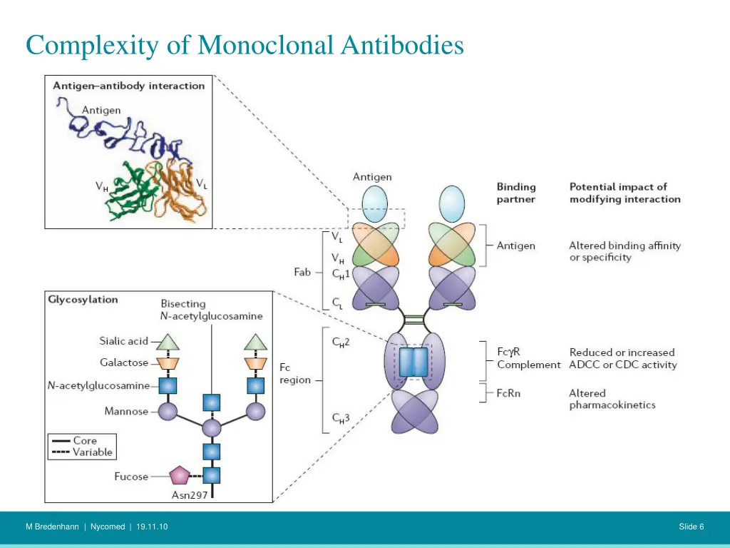 complexity of monoclonal antibodies