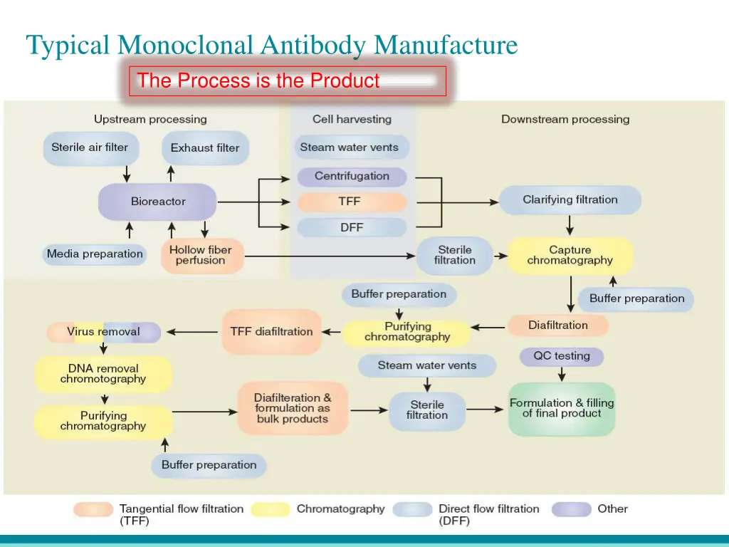 typical monoclonal antibody manufacture