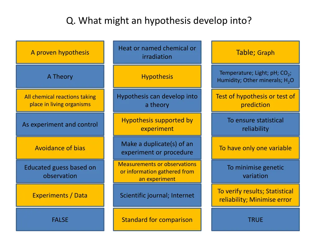 q what might an hypothesis develop into