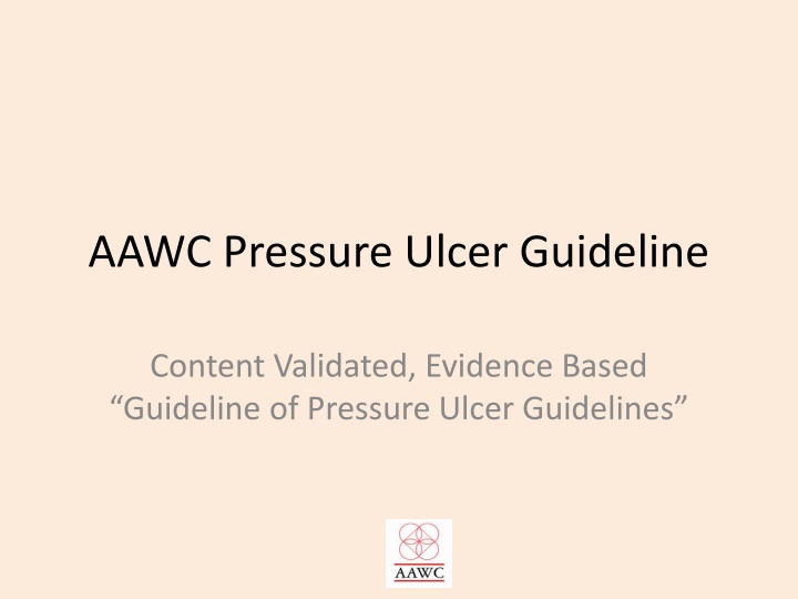 aawc pressure ulcer guideline