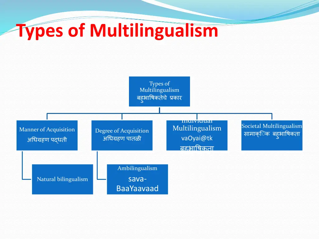 types of multilingualism