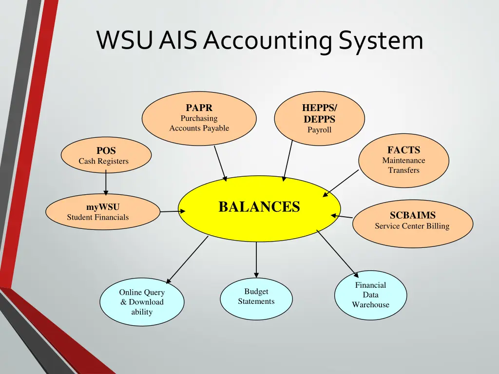 wsu ais accounting system