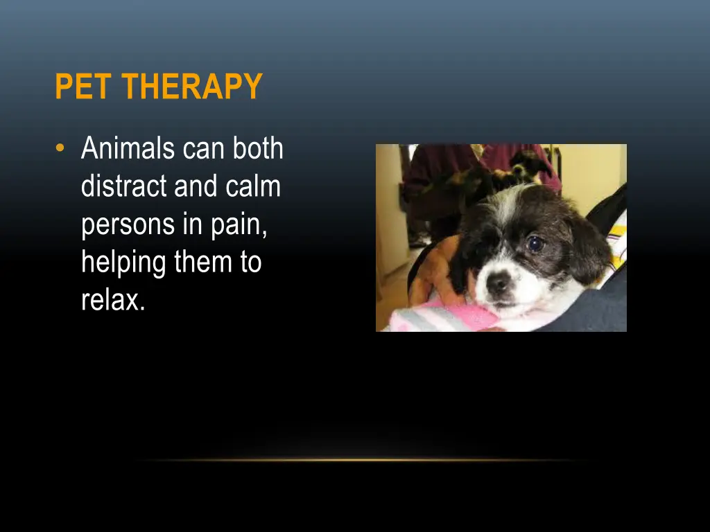 pet therapy