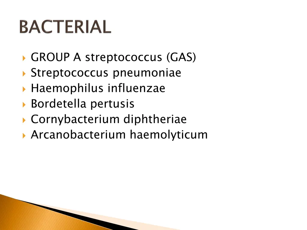 group a streptococcus gas streptococcus