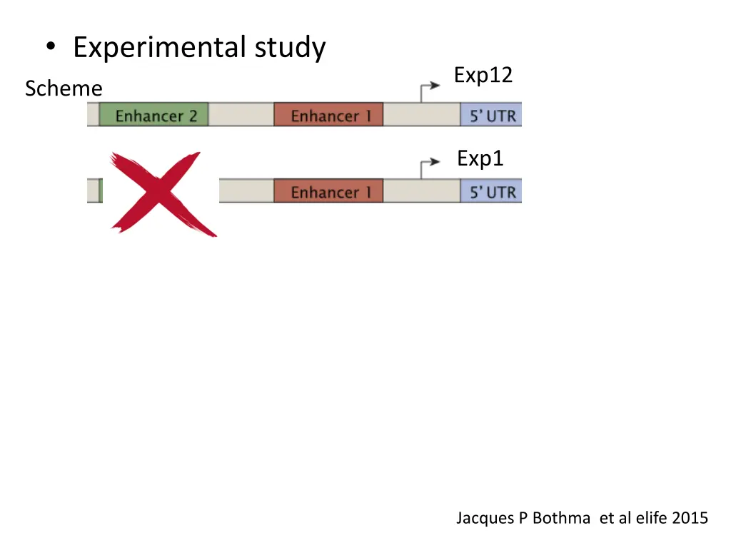 experimental study 1