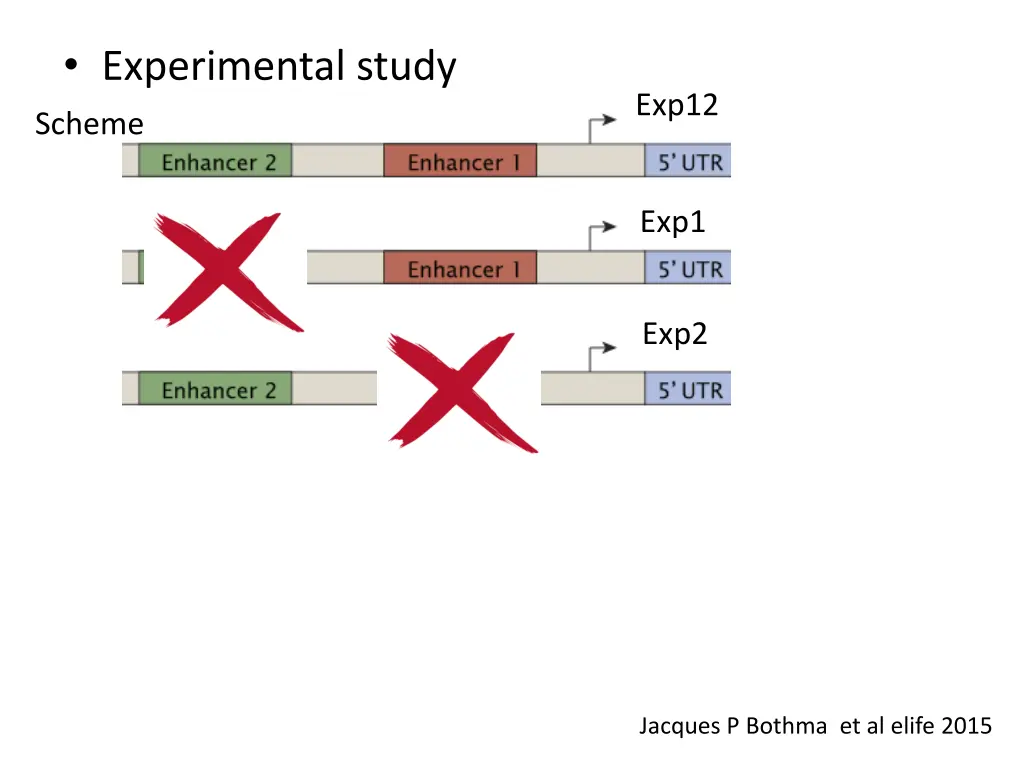 experimental study 2