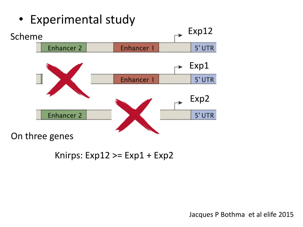 experimental study 3