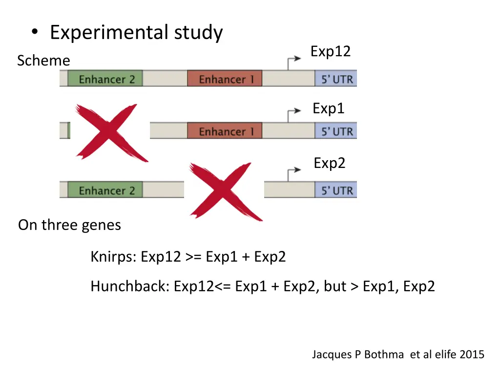 experimental study 4