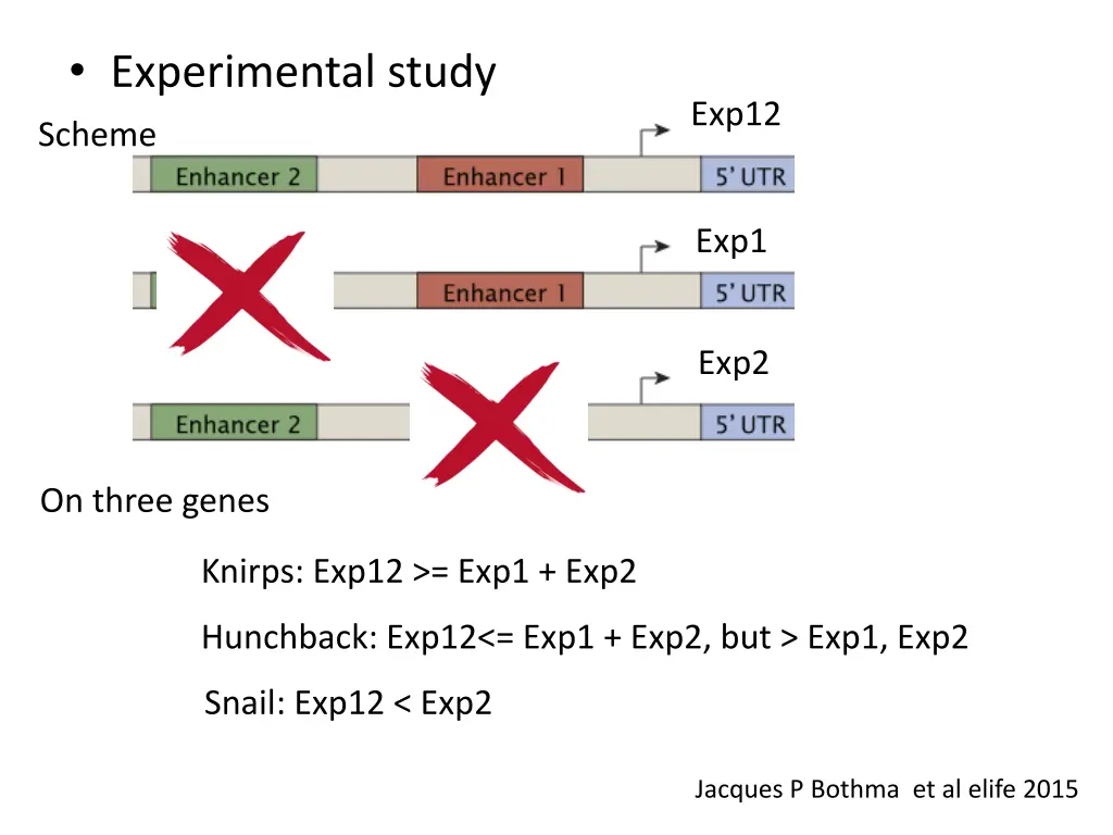 experimental study 5