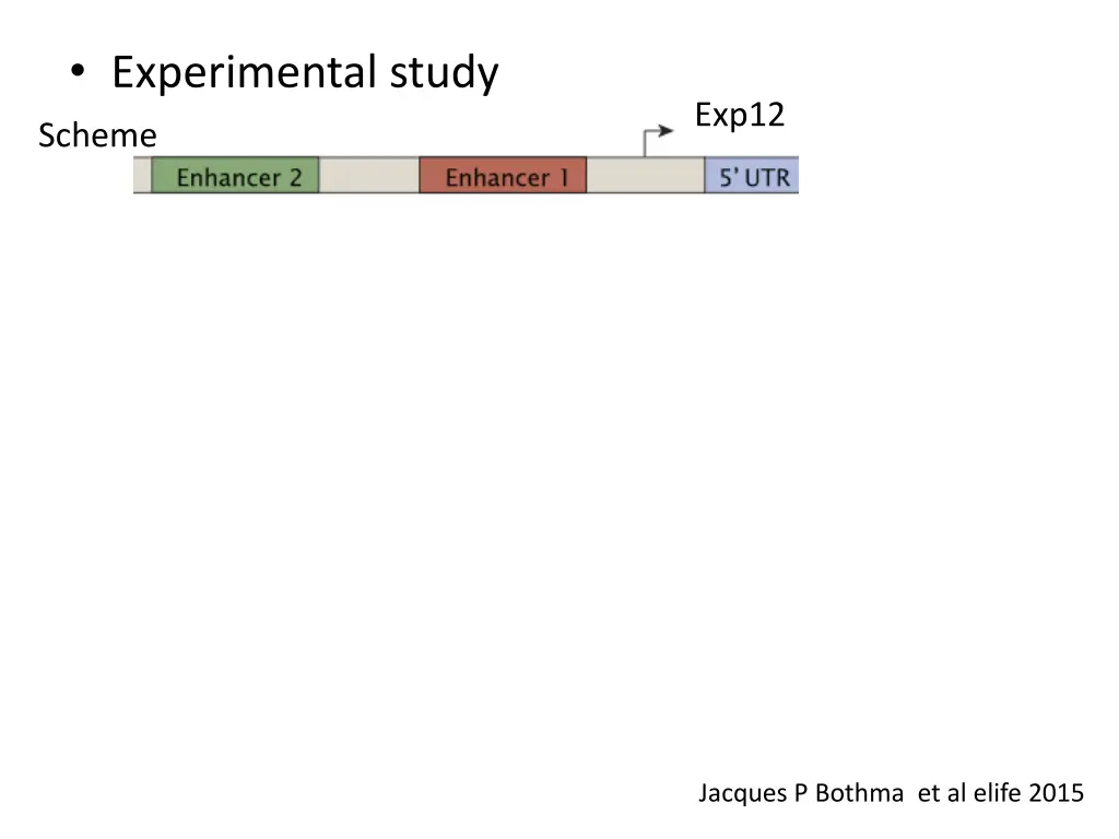 experimental study