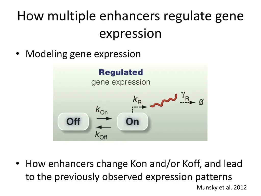 how multiple enhancers regulate gene expression