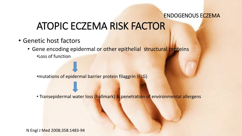 endogenous eczema endogenous eczema 4