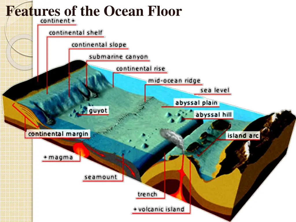 features of the ocean floor