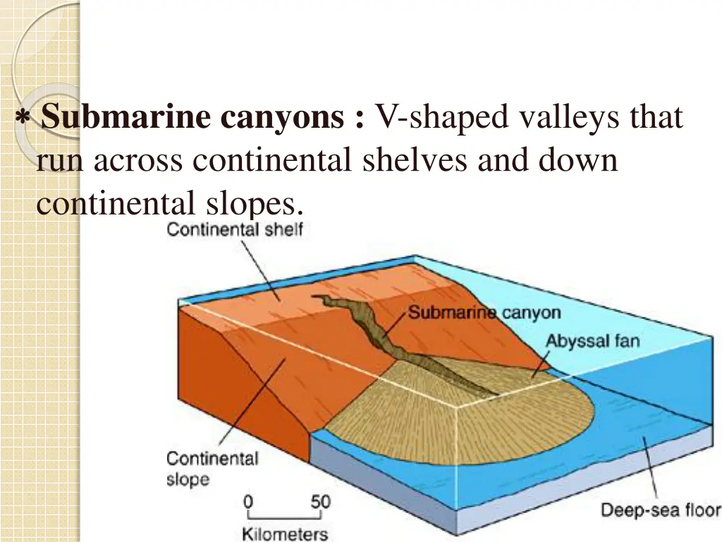 submarine canyons v shaped valleys that