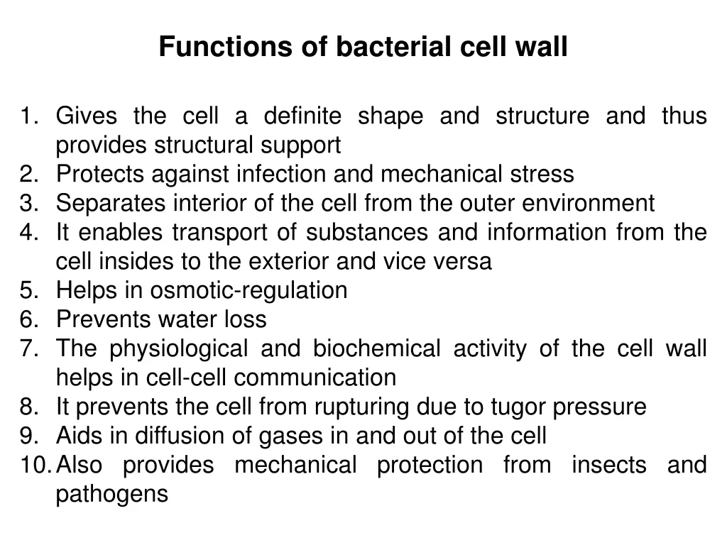 functions of bacterial cell wall