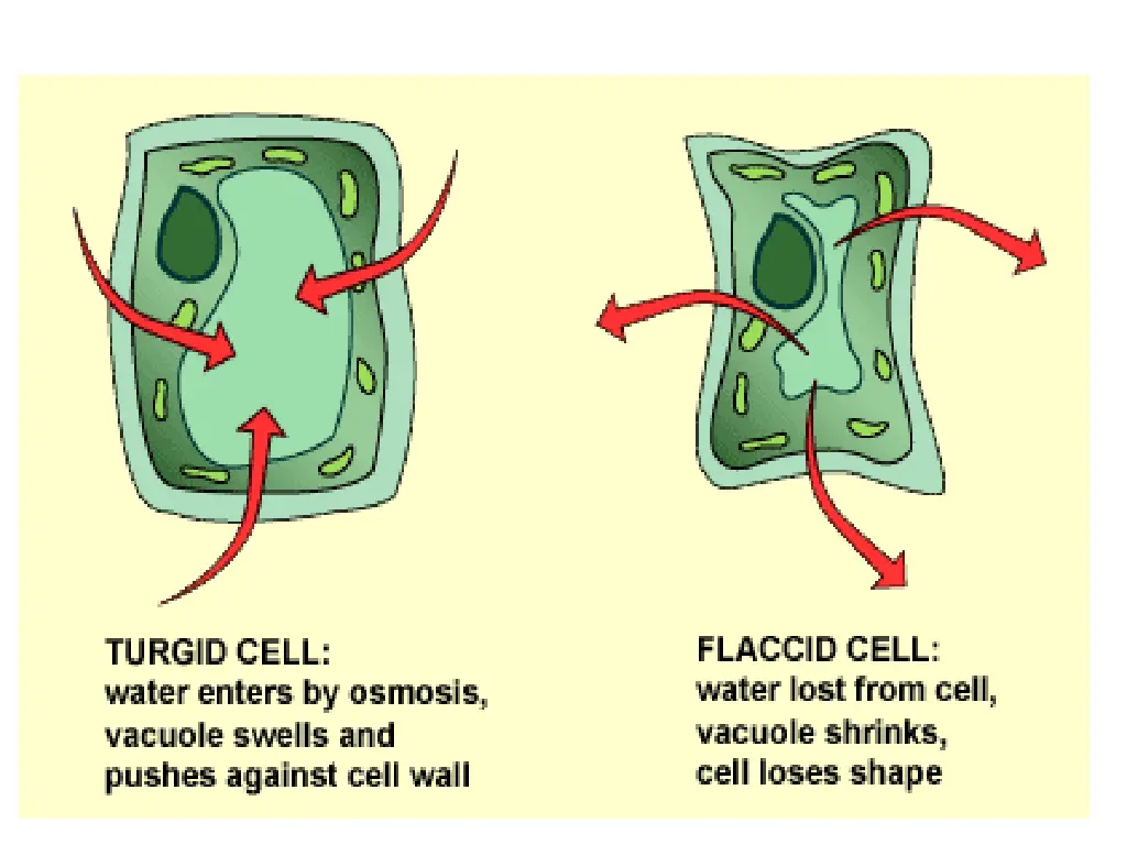 slide15