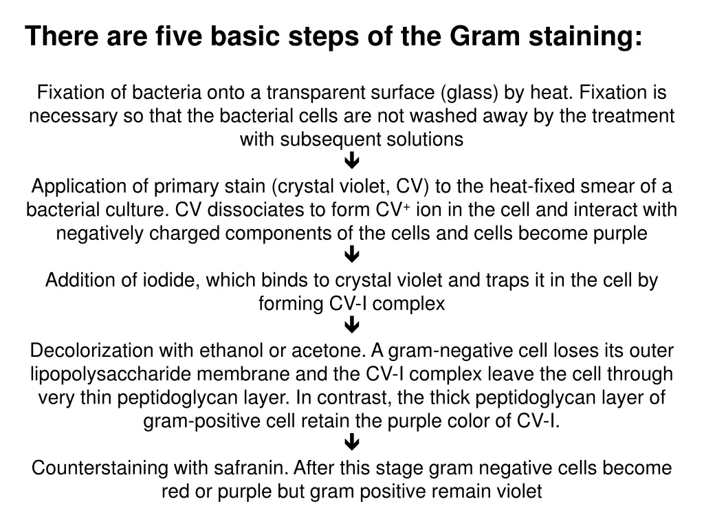 there are five basic steps of the gram staining