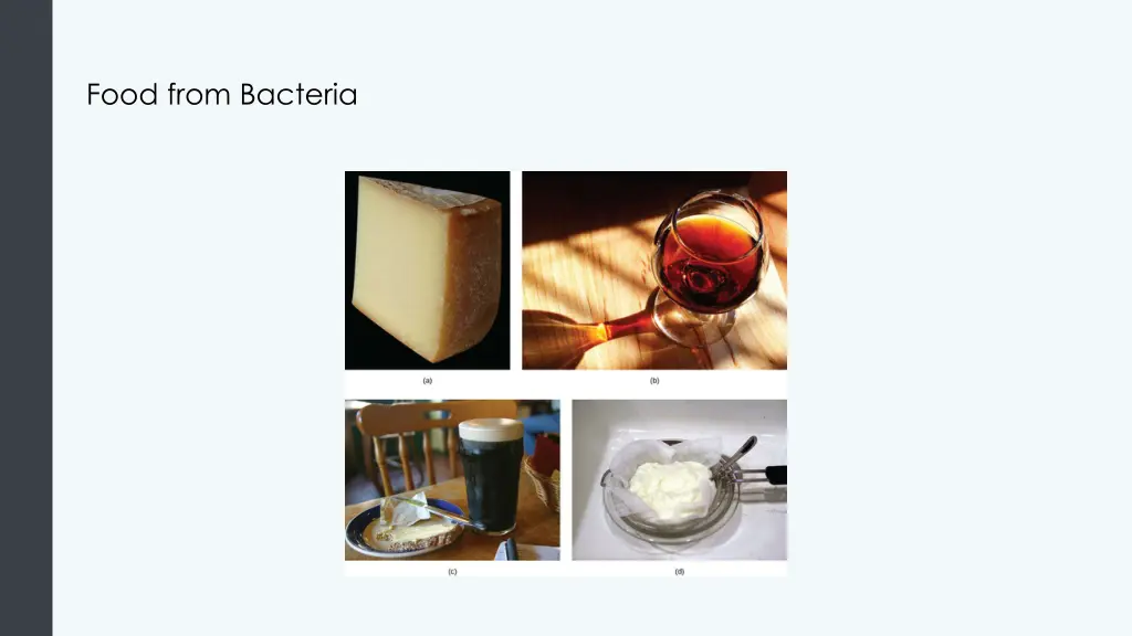 food from bacteria