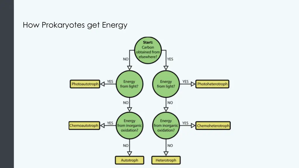 how prokaryotes get energy