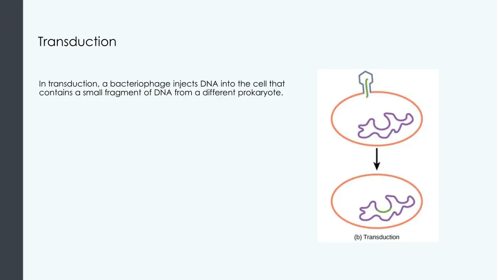 transduction