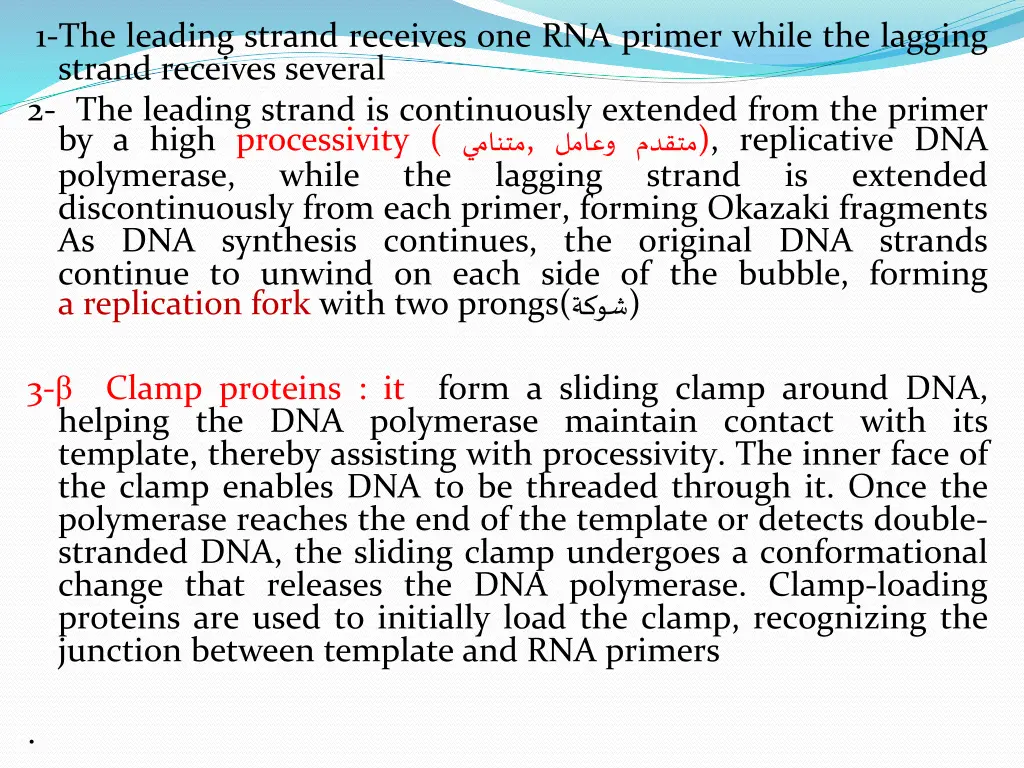 1 the leading strand receives one rna primer