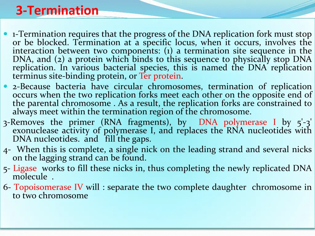 3 termination