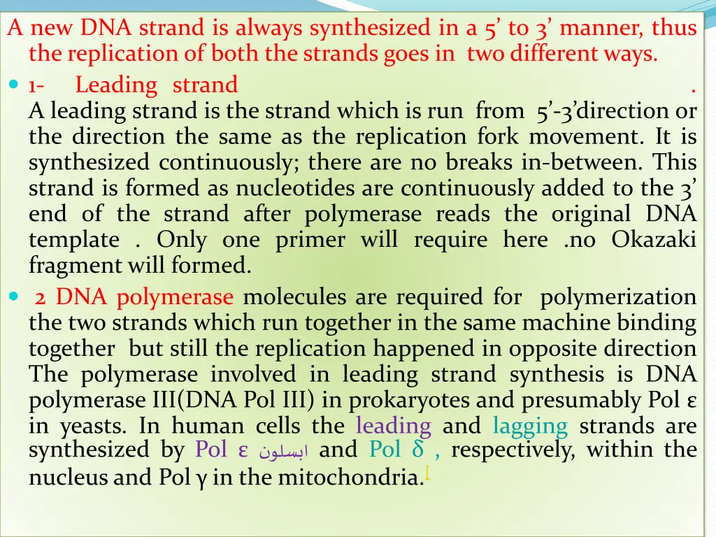 a new dna strand is always synthesized