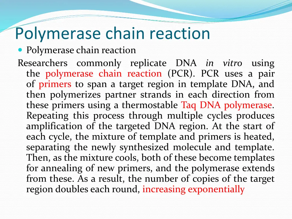 polymerase chain reaction polymerase chain