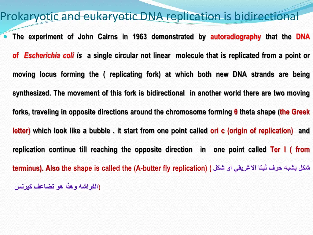 prokaryotic and eukaryotic dna replication