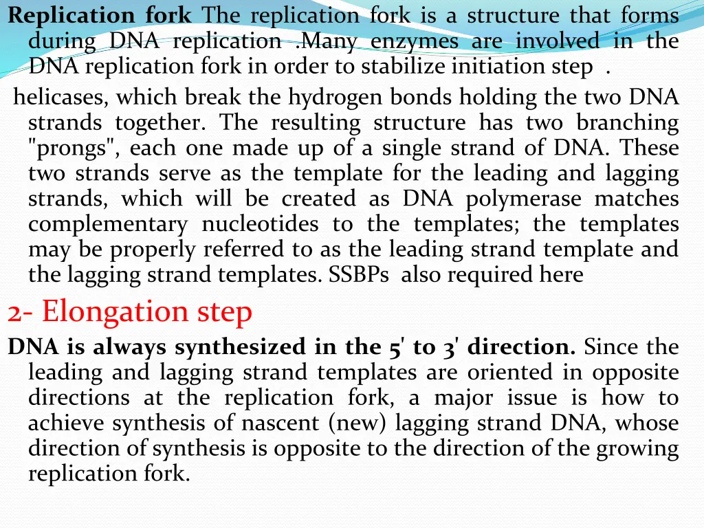 replication fork the replication fork