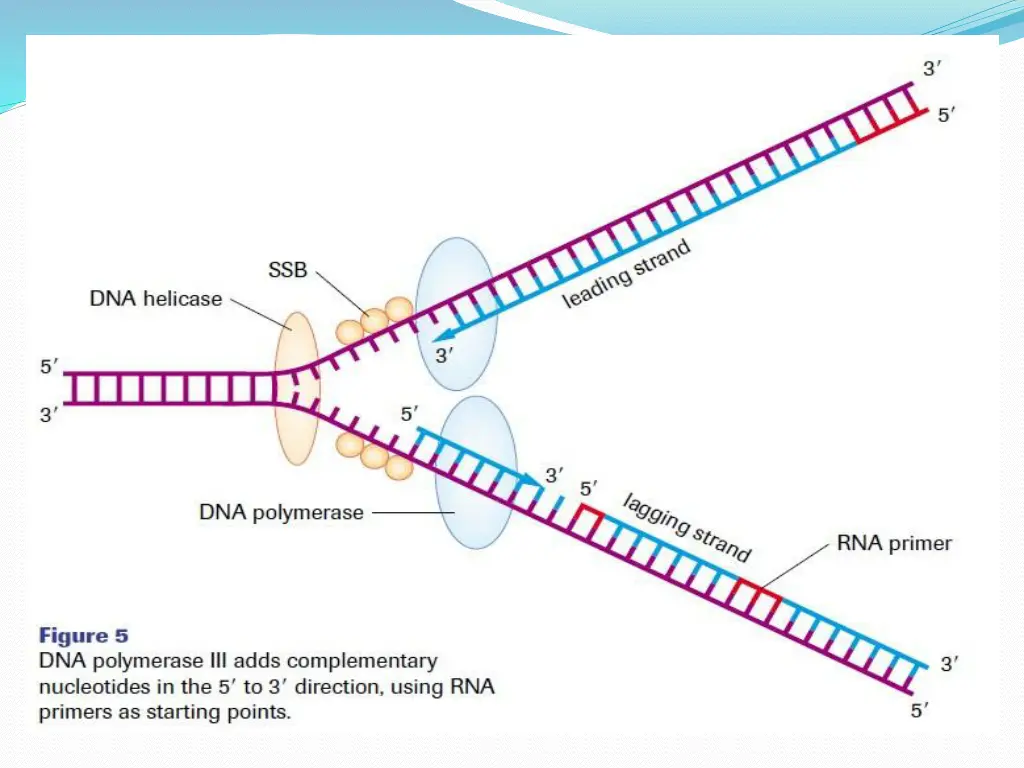 slide16