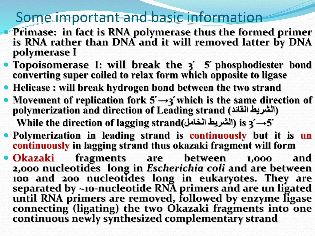 some important and basic information primase