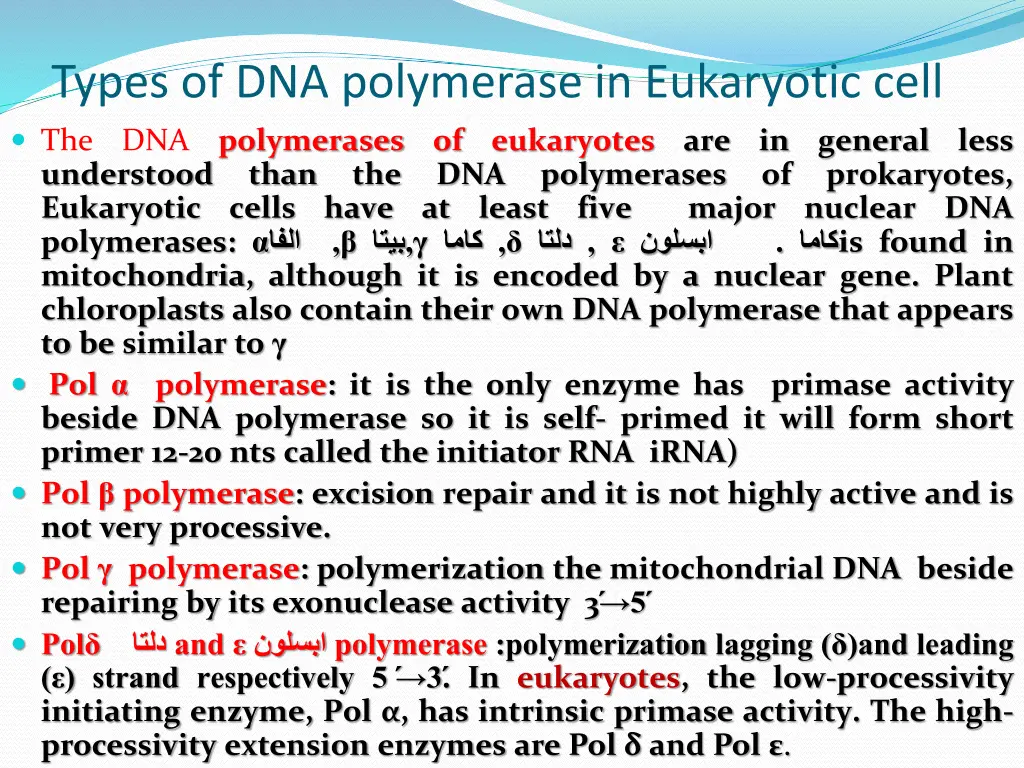 types of dna polymerase in eukaryotic cell