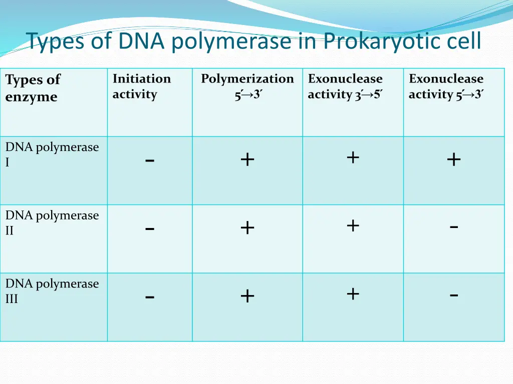 types of dna polymerase in prokaryotic cell